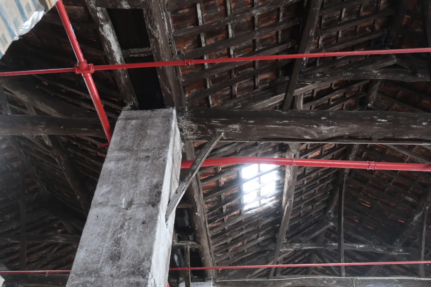 Timber truss asna madeira NDT survey inspeção 05