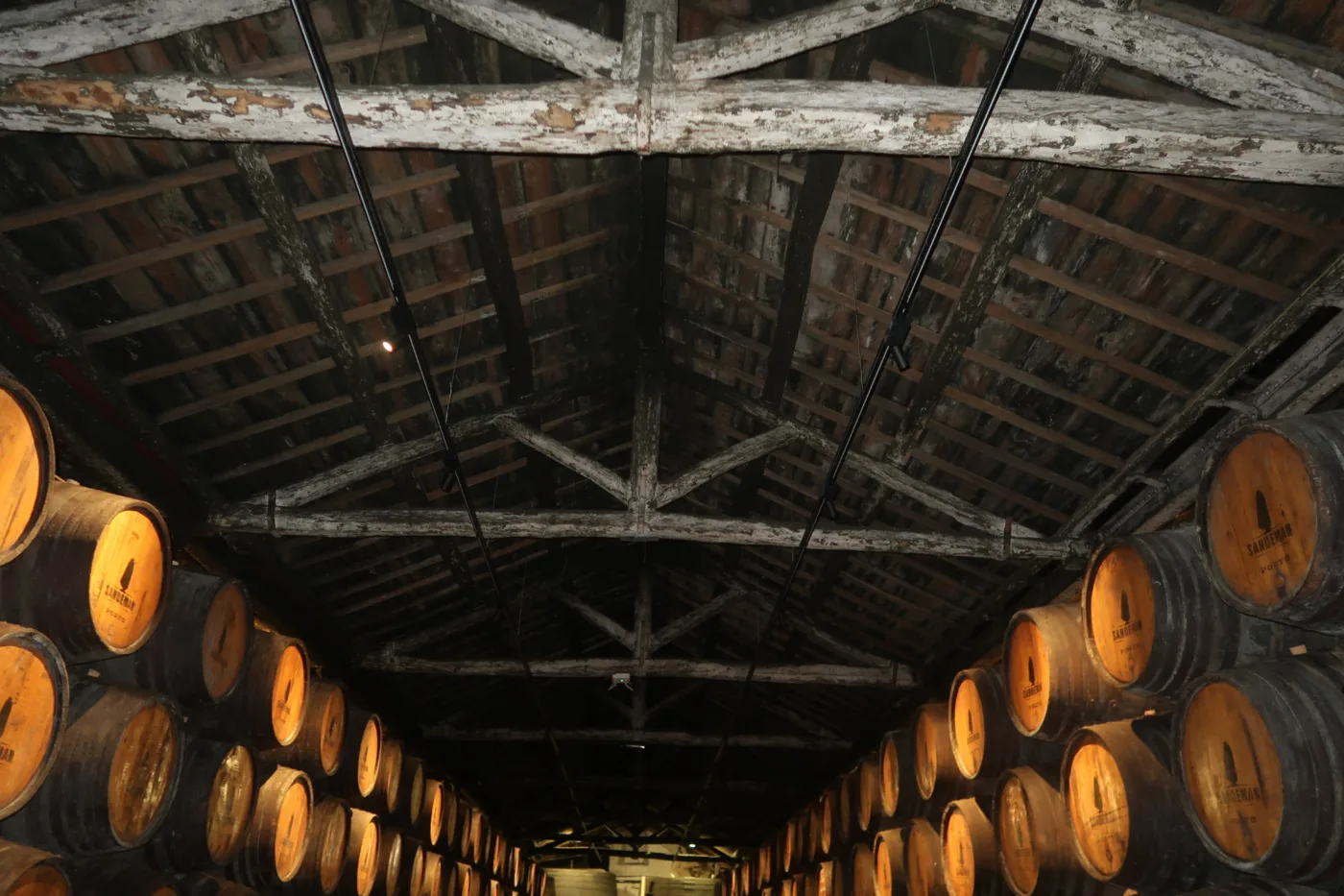 Timber truss asna madeira NDT survey inspeção 07