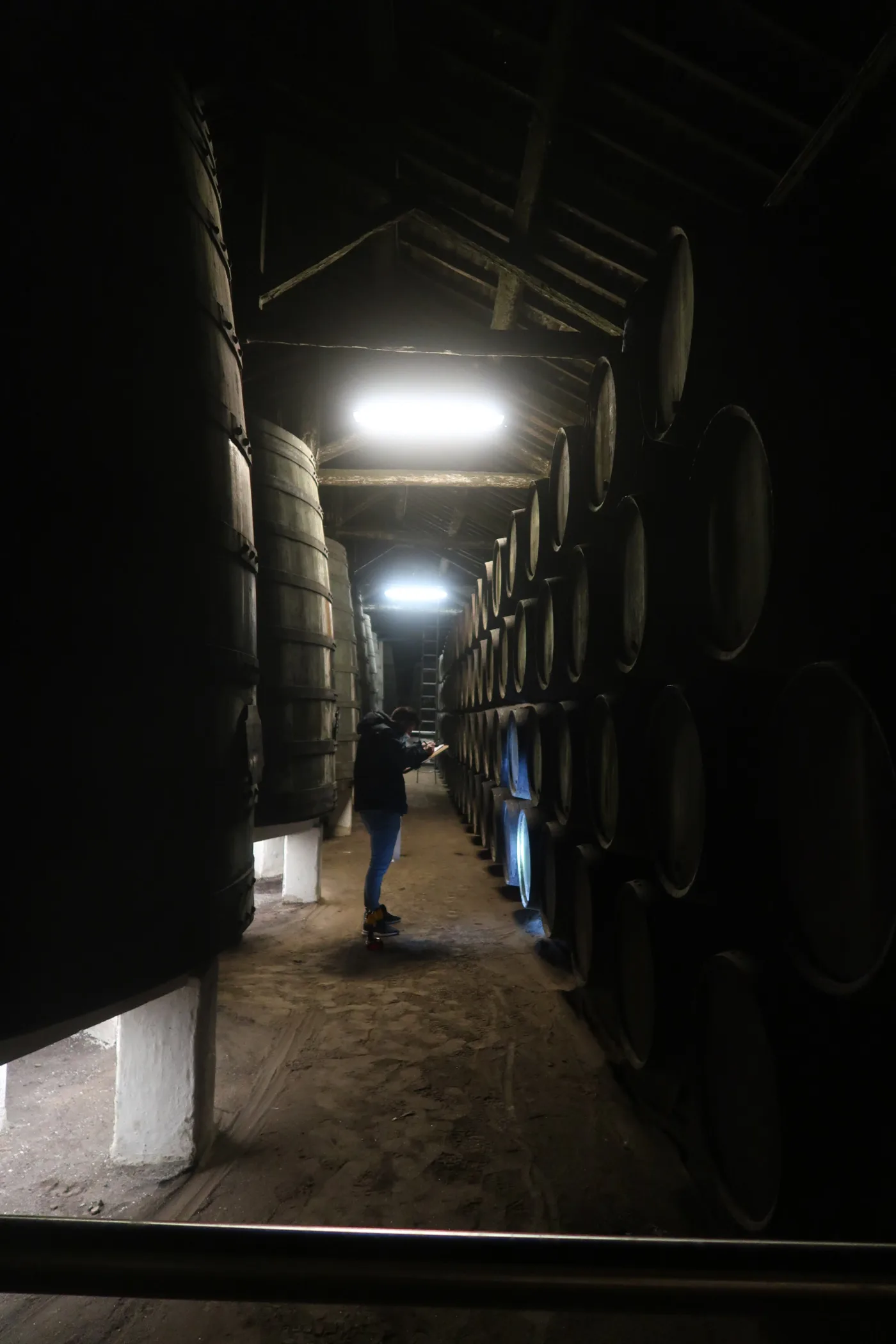 Timber truss asna madeira NDT survey inspeção 08