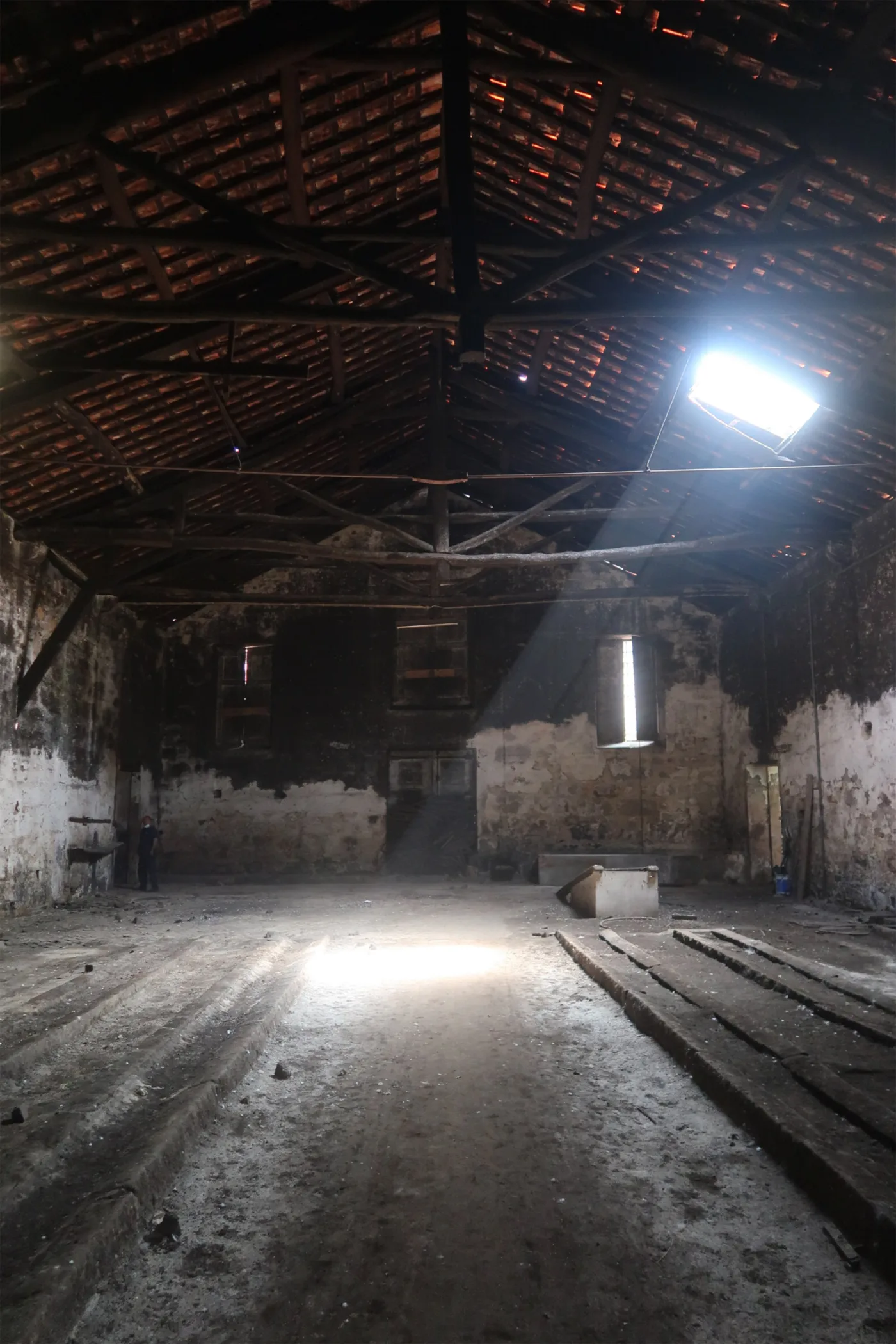 Timber truss asna madeira NDT survey inspeção 09