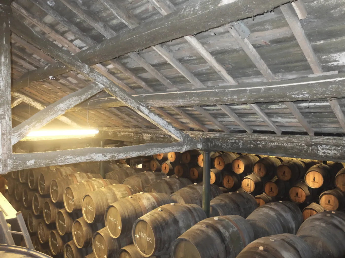 Timber truss asna madeira NDT survey inspecao 01
