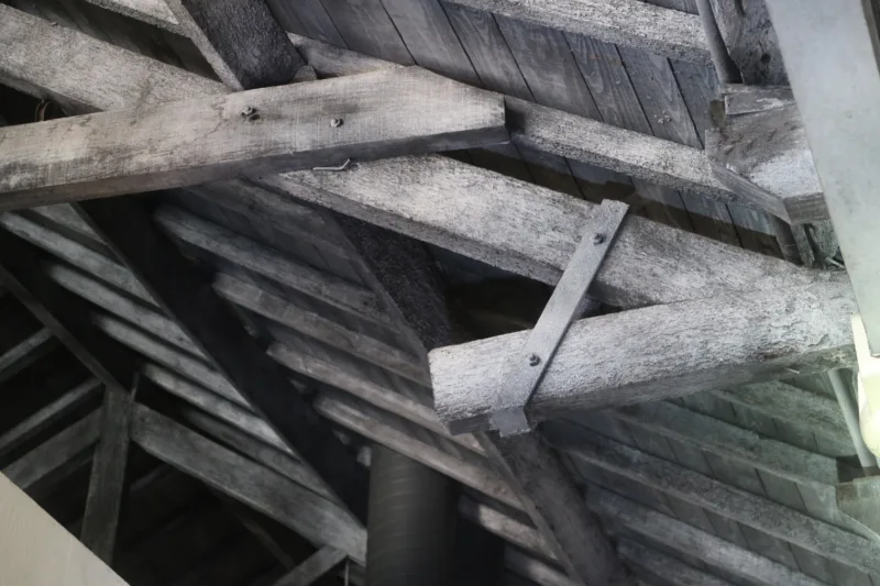 Timber truss asna madeira NDT survey inspeção 10