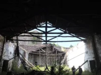 Timber truss asna madeira NDT survey inspeção 03