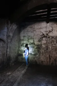 Timber truss asna madeira NDT survey inspeção 06