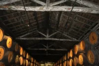 Timber truss asna madeira NDT survey inspeção 07