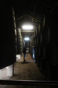 Timber truss asna madeira NDT survey inspeção 08