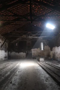 Timber truss asna madeira NDT survey inspeção 09