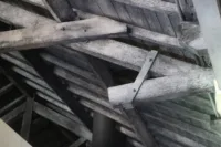 Timber truss asna madeira NDT survey inspeção 10