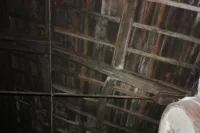 Timber truss asna madeira NDT survey inspeção 11