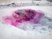 RC structure structural survey NDT steel corrosion rebar carbonatation