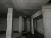 RC structure structural survey NDT