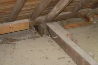 Timber roof structural survey NDT madeira cobertura 07
