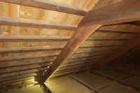 Timber roof structural survey NDT madeira cobertura 09