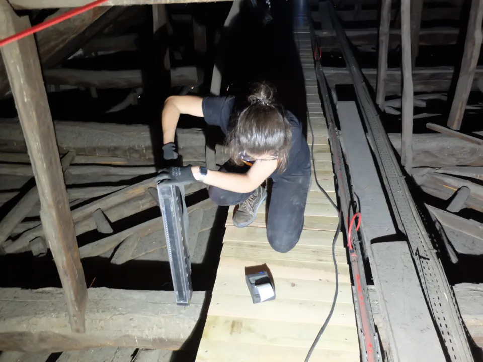NCREP Igreja Sao Francisco timber roof cobertura madeira resistograph 6