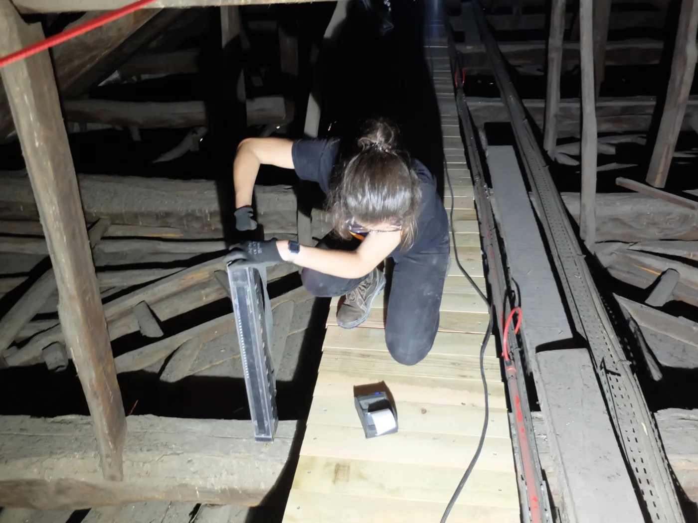 NCREP Igreja Sao Francisco timber roof cobertura madeira resistograph 6