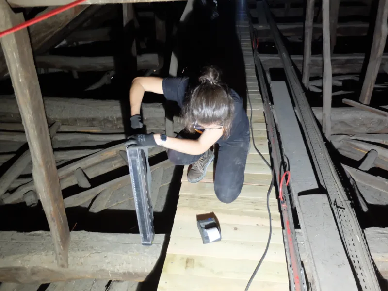 NCREP Igreja Sao Francisco timber roof cobertura madeira resistograph 6