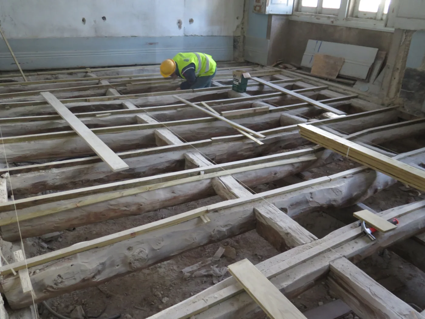 IAP madeira inspeção estrutural reabilitação timber structural survey resistograph 7