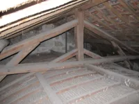 IAP madeira inspeção estrutural reabilitação timber structural survey resistograph 9