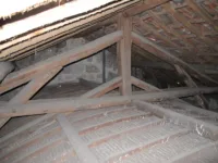 IAP madeira inspeção estrutural reabilitação timber structural survey resistograph 9