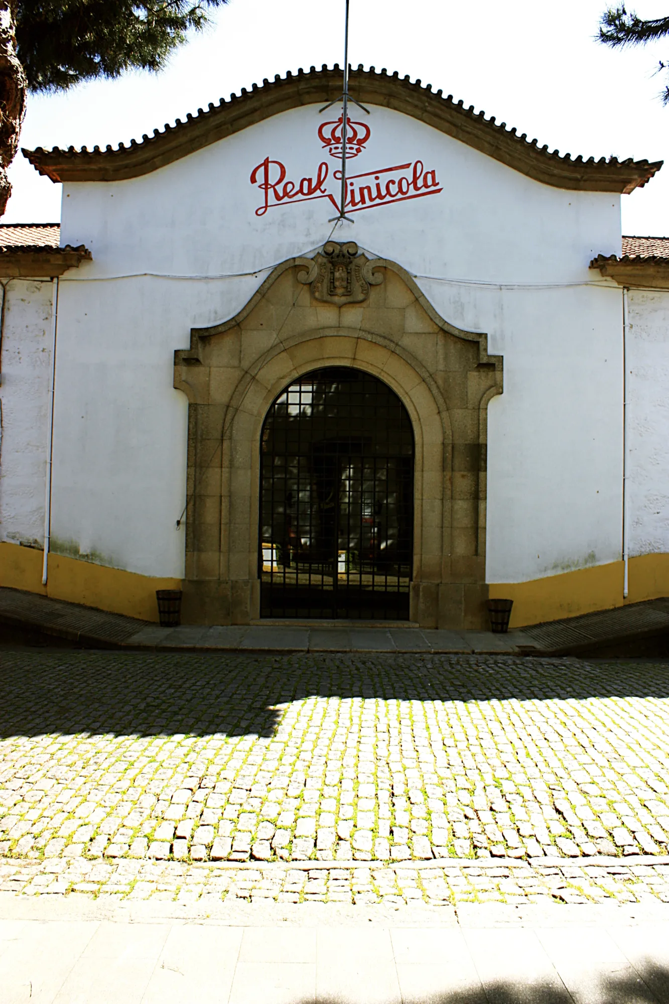 RCV Timber roof industrialwarehouse armazém industrial cobertura madeira NDT Monitoring 8