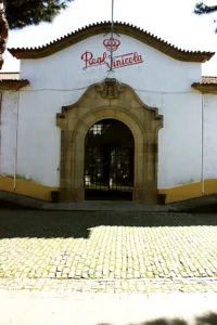 RCV Timber roof industrialwarehouse armazém industrial cobertura madeira NDT Monitoring 8