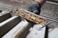 Alvenaria masonry timber madeiras structural survey inspeção e diagnóstico projecto design damage 01