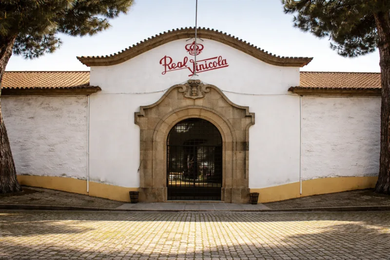 RCV Timber roof industrialwarehouse armazém industrial cobertura madeira NDT Monitoring 8 1